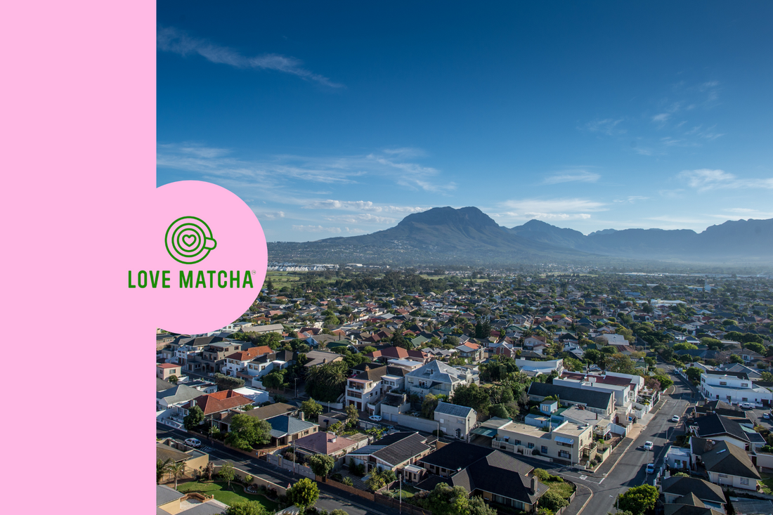 Love Matcha is Coming to Somerset West!